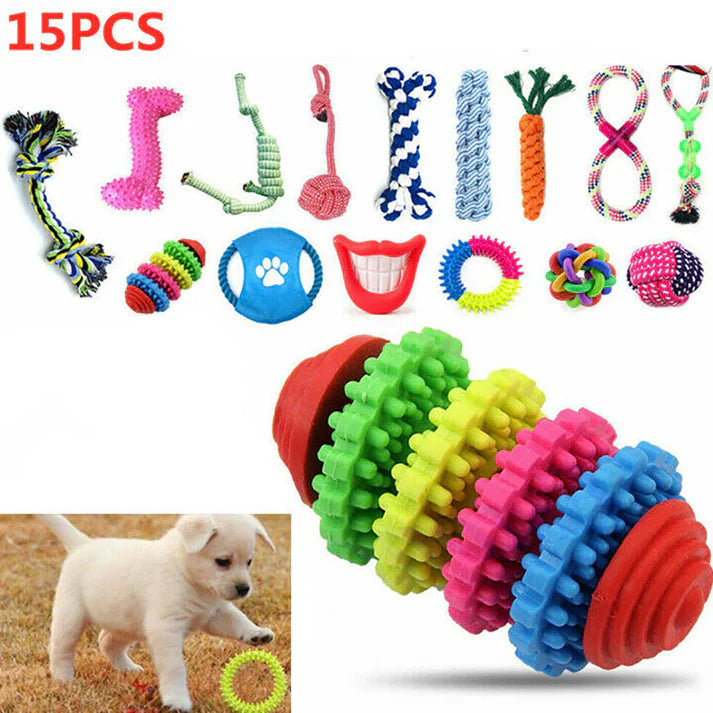 Pet Supplies