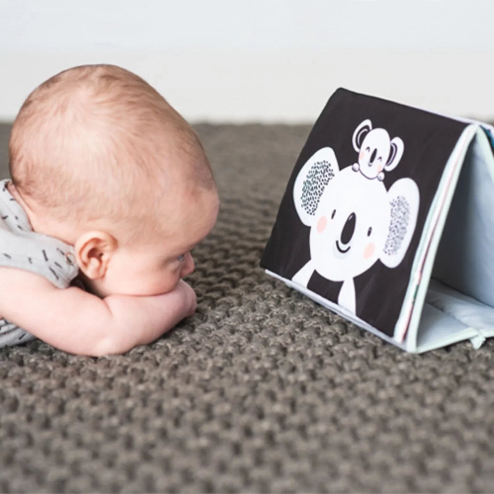 Taf Toys Kimmy Koala Tummy Time Book