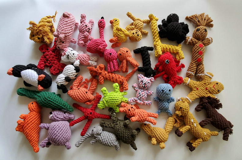 Pet molar toy