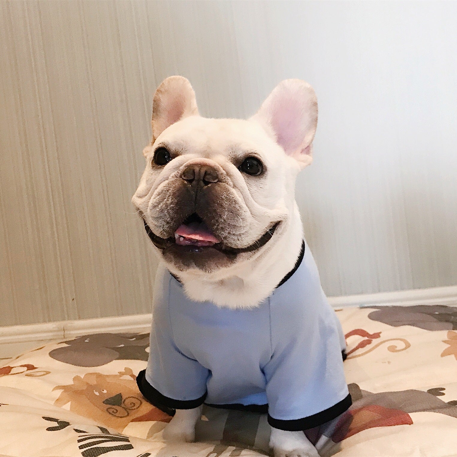 Fat Dog Four-Legged Cotton Printed Pajamas