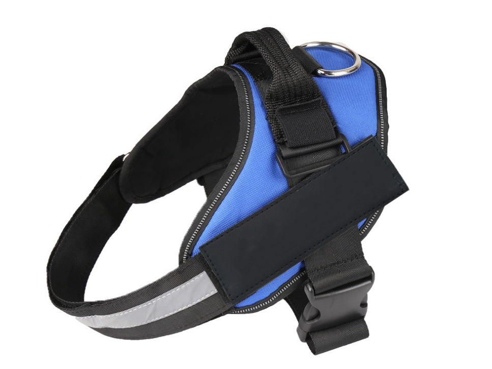 Pet chest strap with dog leash