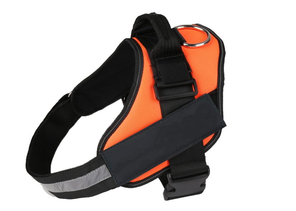 Pet chest strap with dog leash