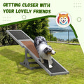 Wooden dog agility seesaw