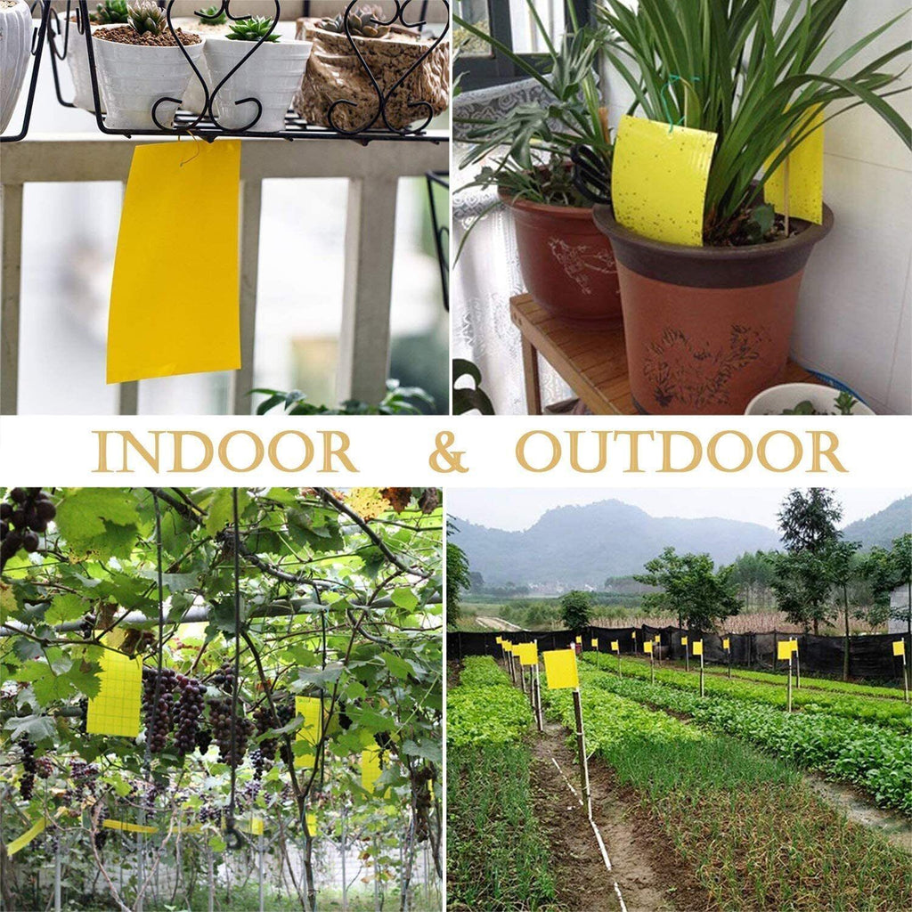 40Pcs Yellow Sticky Fly Trap Paper Fruit Flies Insect Aphids Glue Catcher Bug