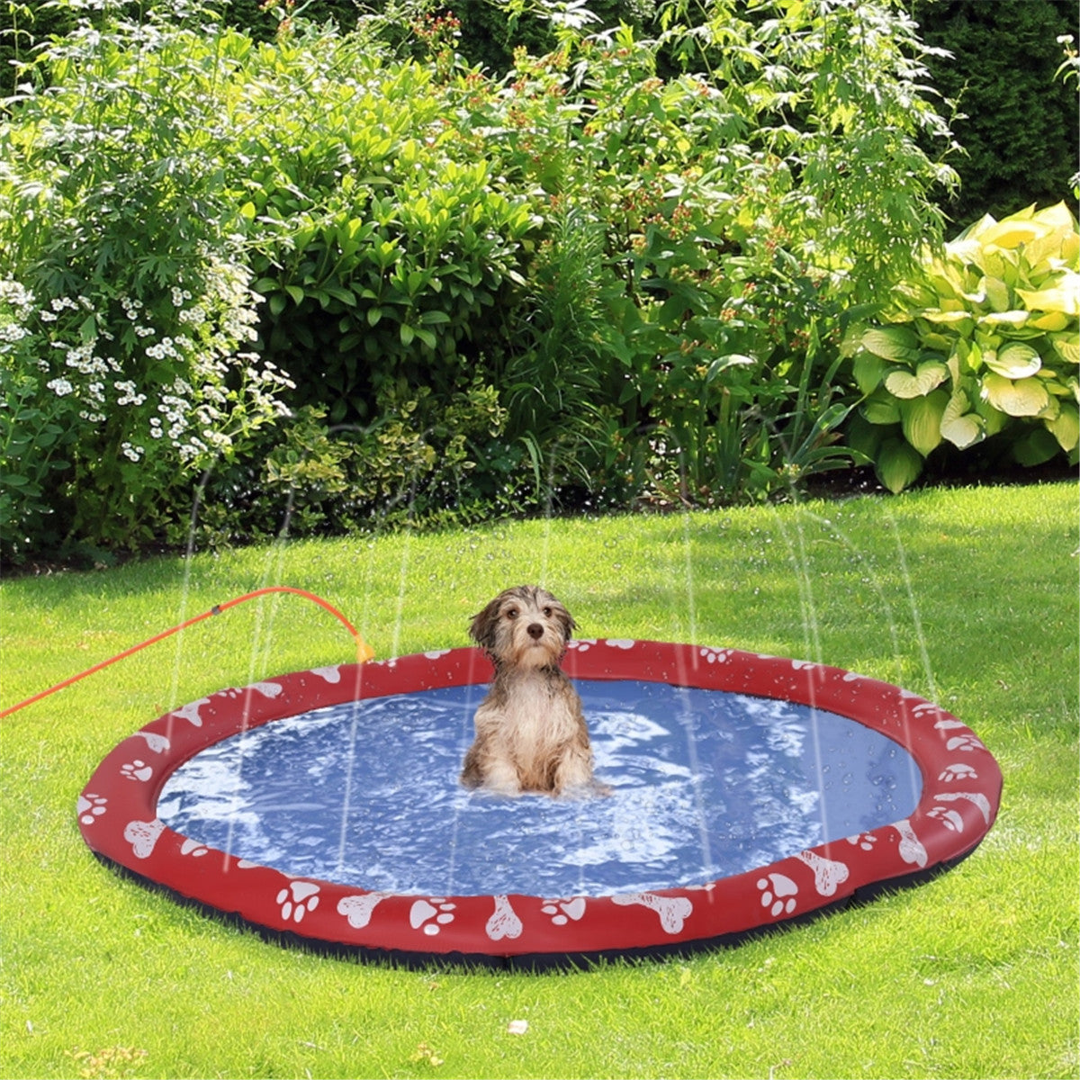 Pet splash sprinkler pad