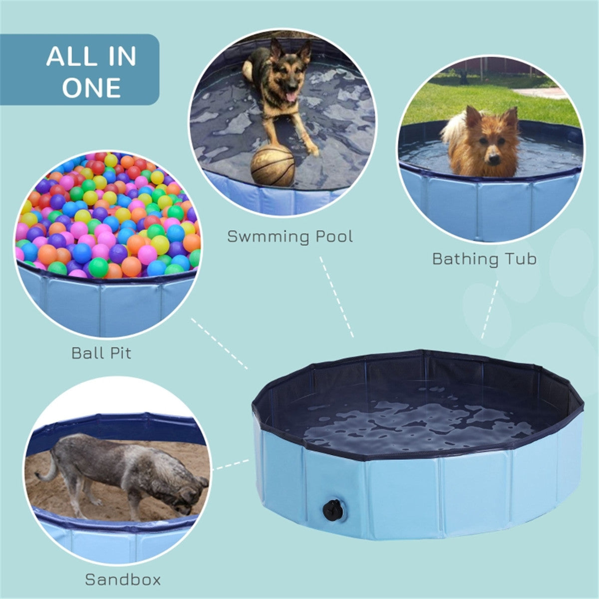 Dog Pool