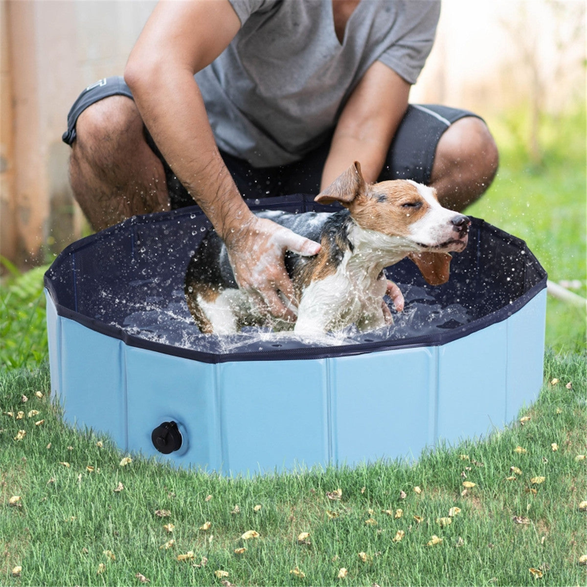 Dog Pool