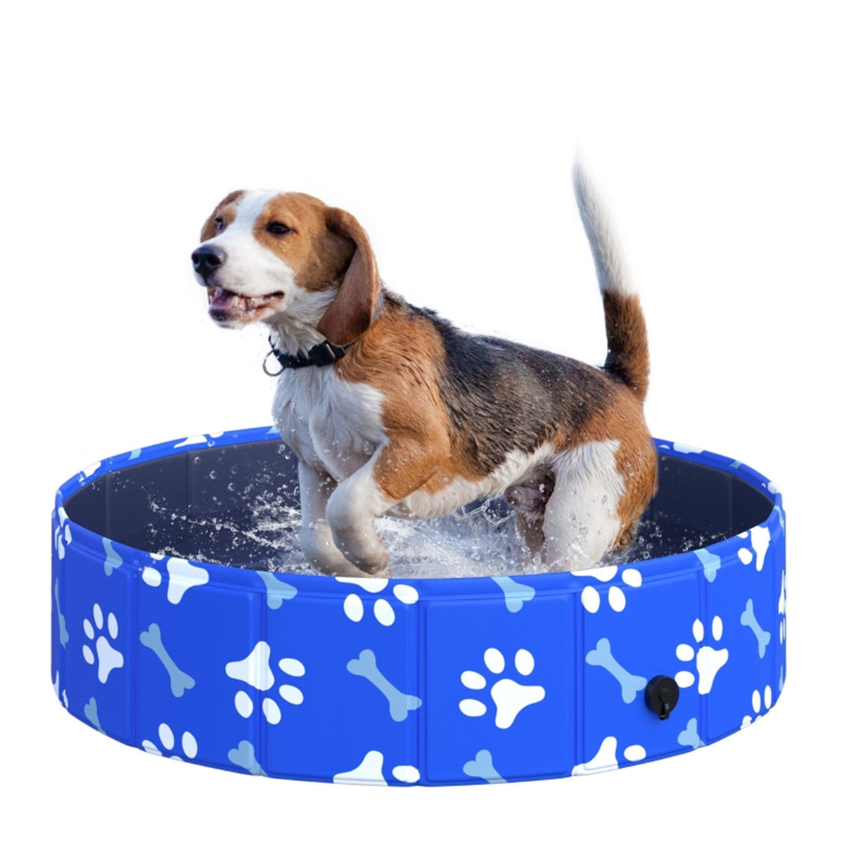 Dog Pool