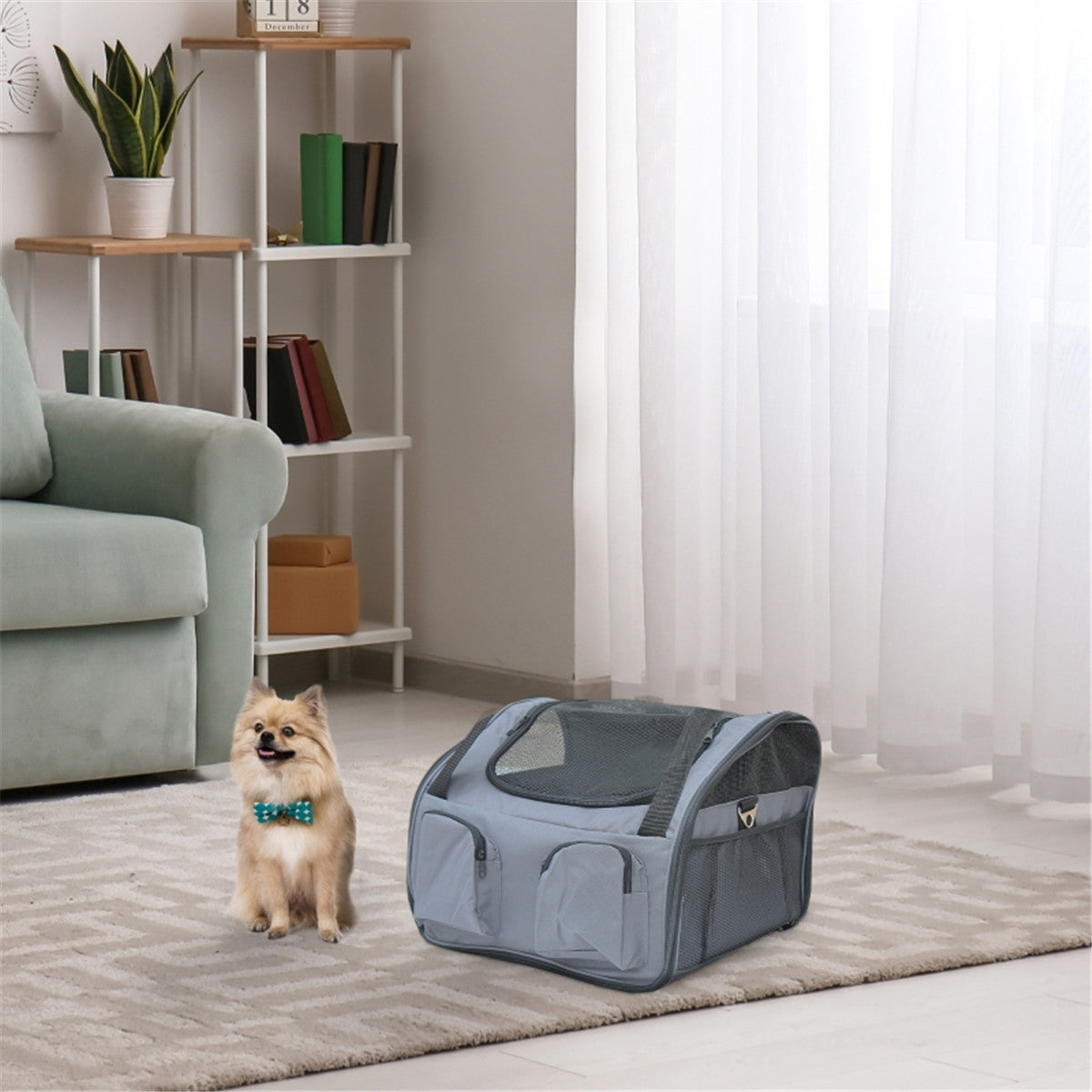 Pet Carrier