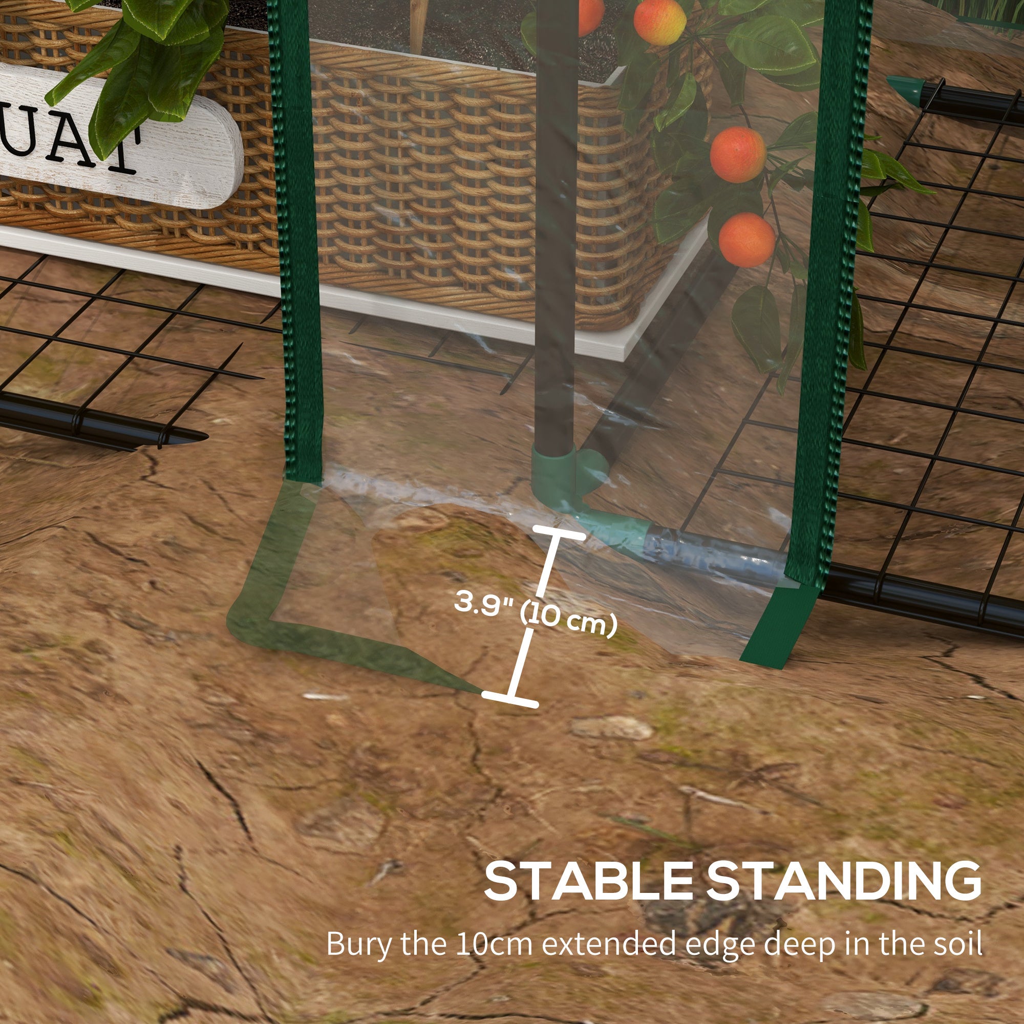 Portable Mini Greenhouse