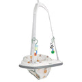 Graco Bumper Jumper - Up & Away
