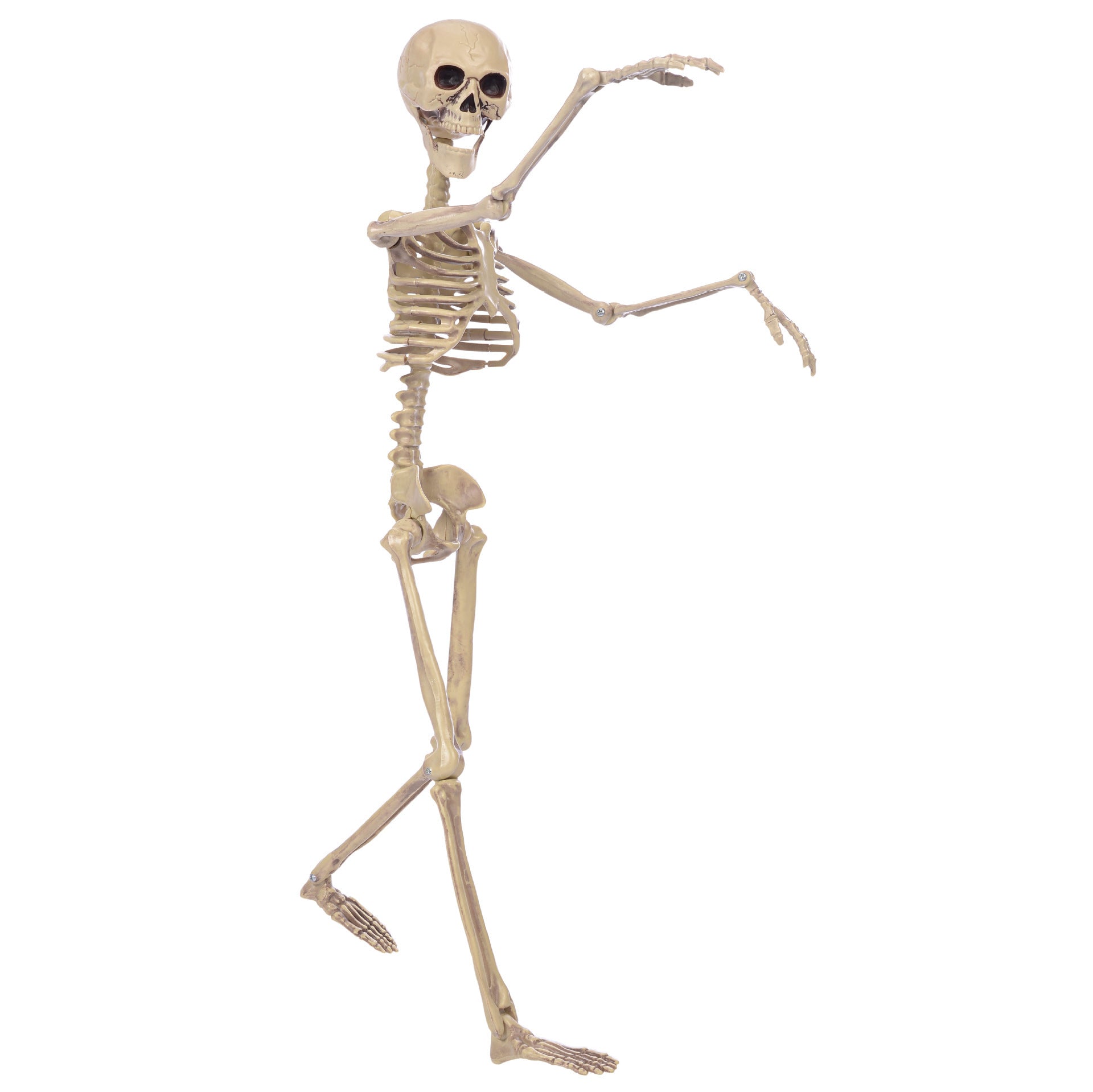 Halloween Skull Fish Skeleton Hanger 80cm - Realistic Spooky Decoration