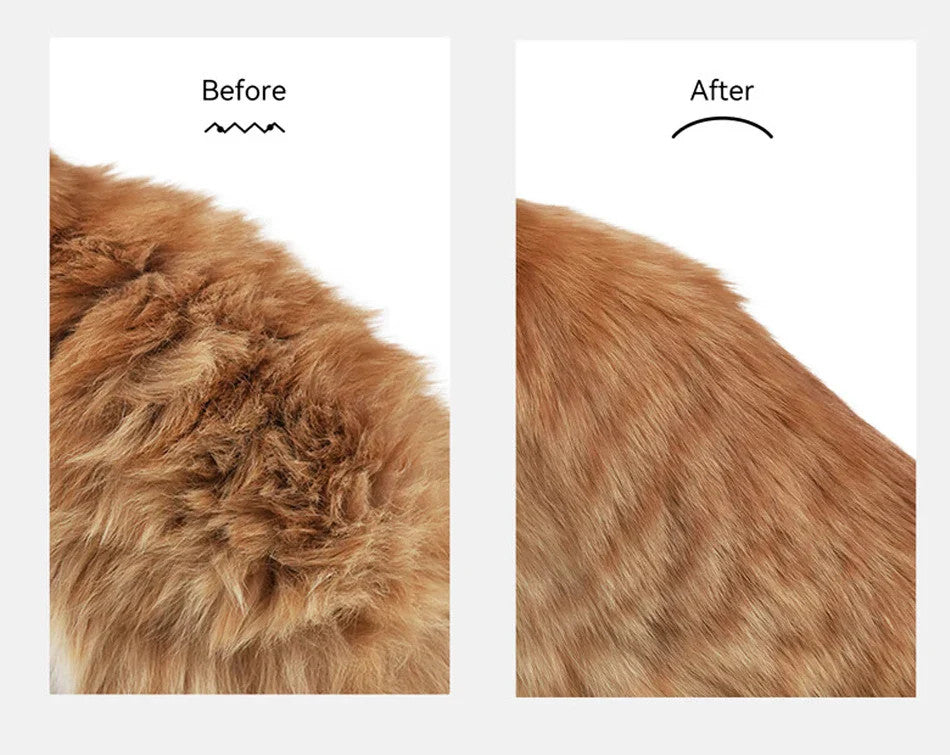 Pet Electric Massage And Hair Straightener Spray Brush