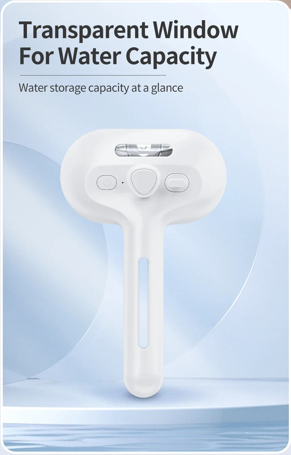 Pet Electric Massage And Hair Straightener Spray Brush