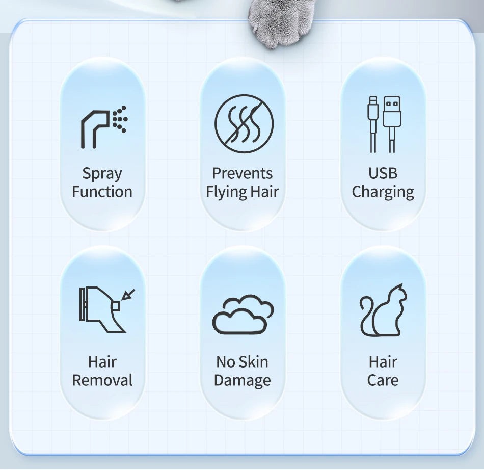 Pet Electric Massage And Hair Straightener Spray Brush