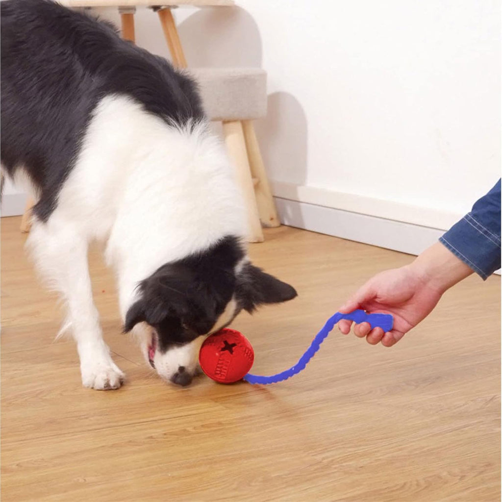 Interactive Dog Toys Crate Training For Puppies Puzzle Dispenser With Rope Reduce Stress Anxiety Dog Food Dispenser Toys Durable Dog For Aggressive Chewers