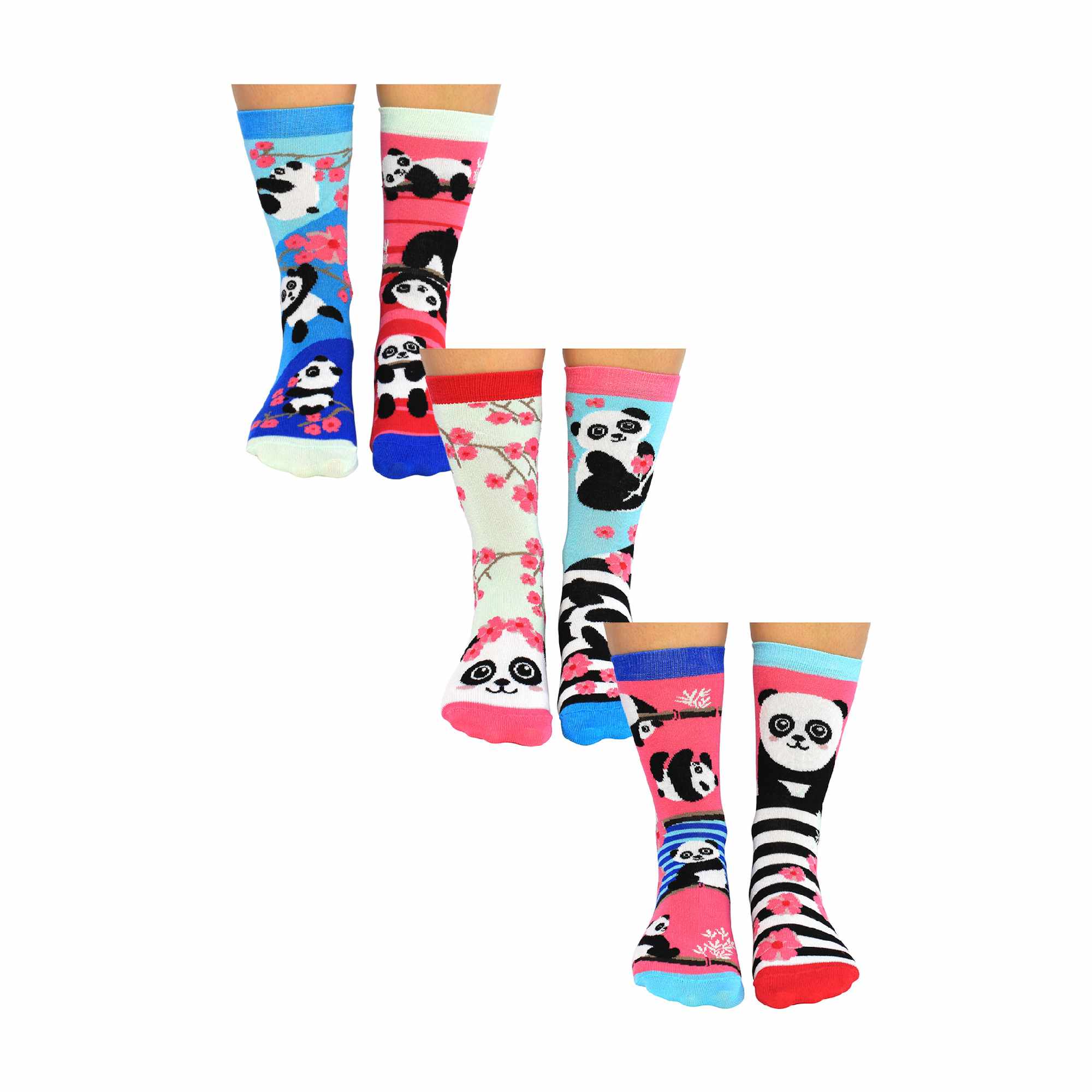6 Pack Ladies Bamboo Panda Design Odd Socks in Gift Box