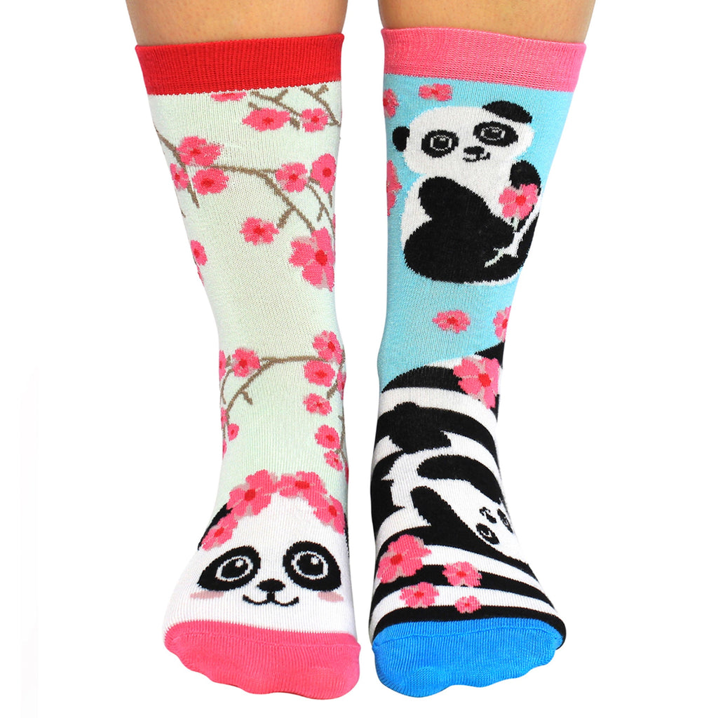 6 Pack Ladies Bamboo Panda Design Odd Socks in Gift Box