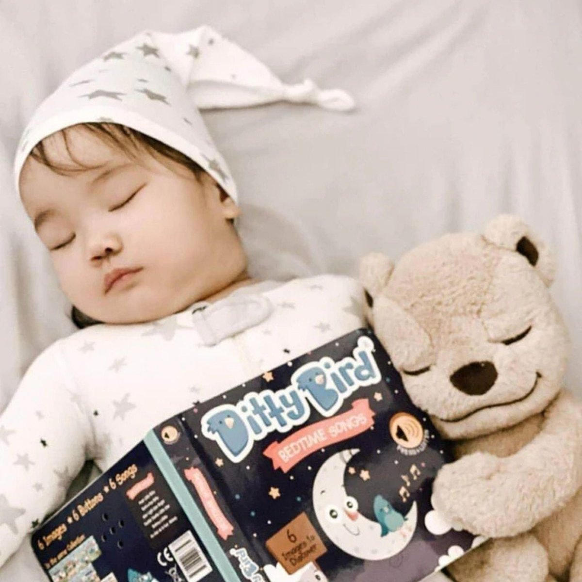 Ditty Bird Bedtime Songs Book