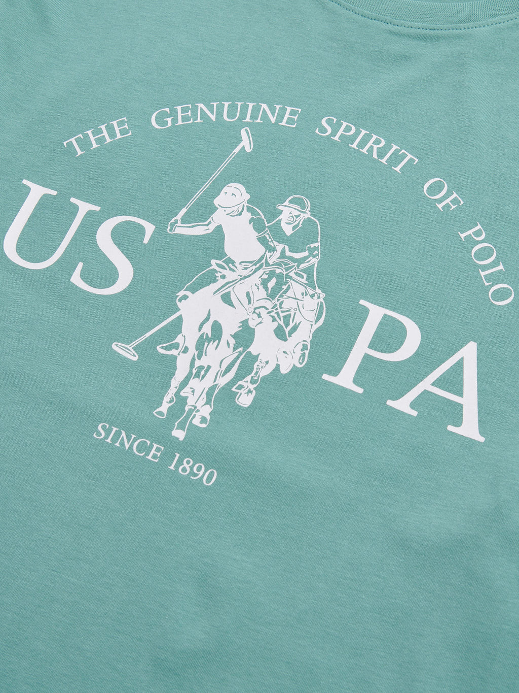 Mens USPA Print Graphic T-Shirt Arctic
