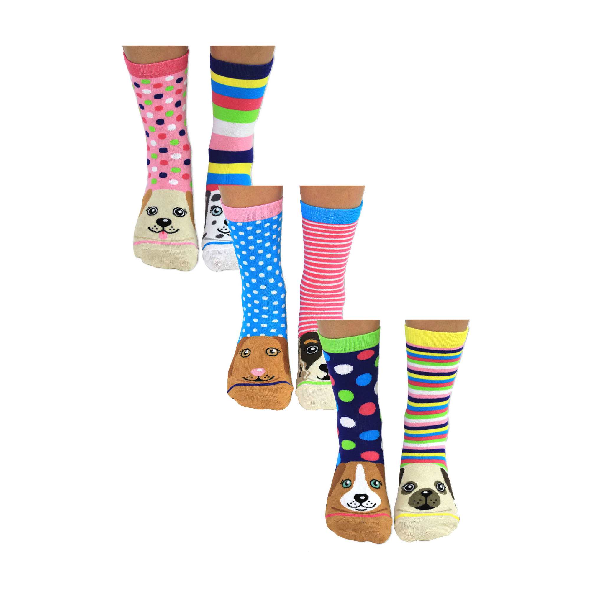 6 Pack Ladies Puppy Dog Novelty Odd Socks in Gift Box