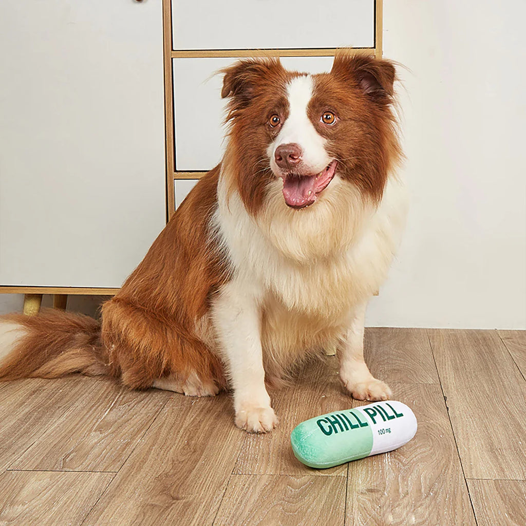 Interactive Plush “Chill Pill” Dog Toy with Squeaker – Soft Bite-Resistant Chew Toy for Pets