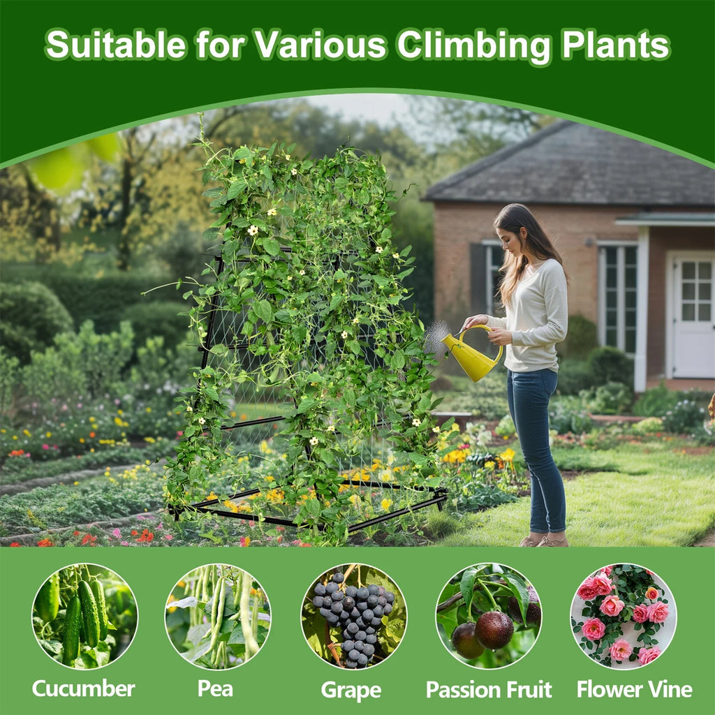Metal A-Shaped Garden Arch Trellis for Climbing Plants Vegetable Cucumber Support Frame with Nylon Netting, Four Ground Spikes