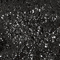 Yumi Black Sequin High Neck Top