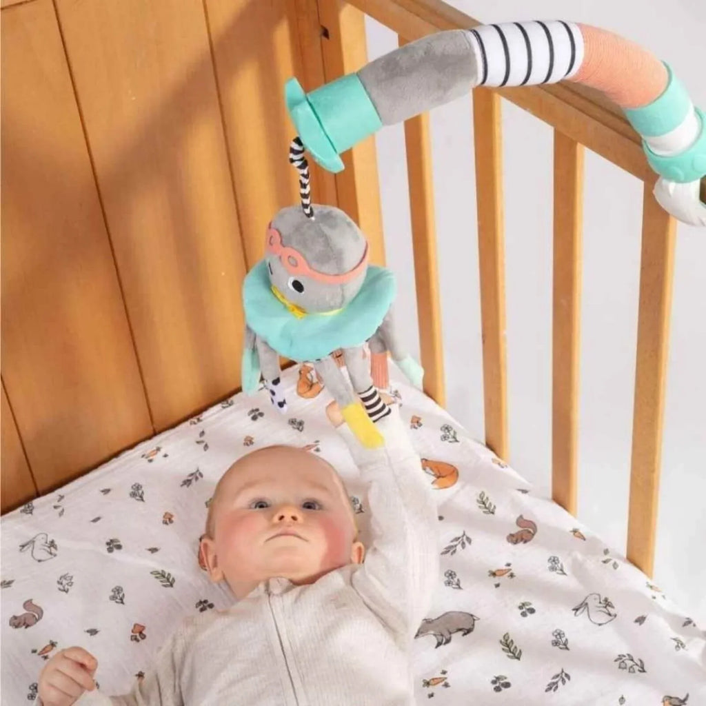 Dingle Dangle Gift Set