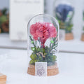 Mother's Day Gift Carnation Wishing Bottle Dandelion Preserved Fresh Flower Material Package