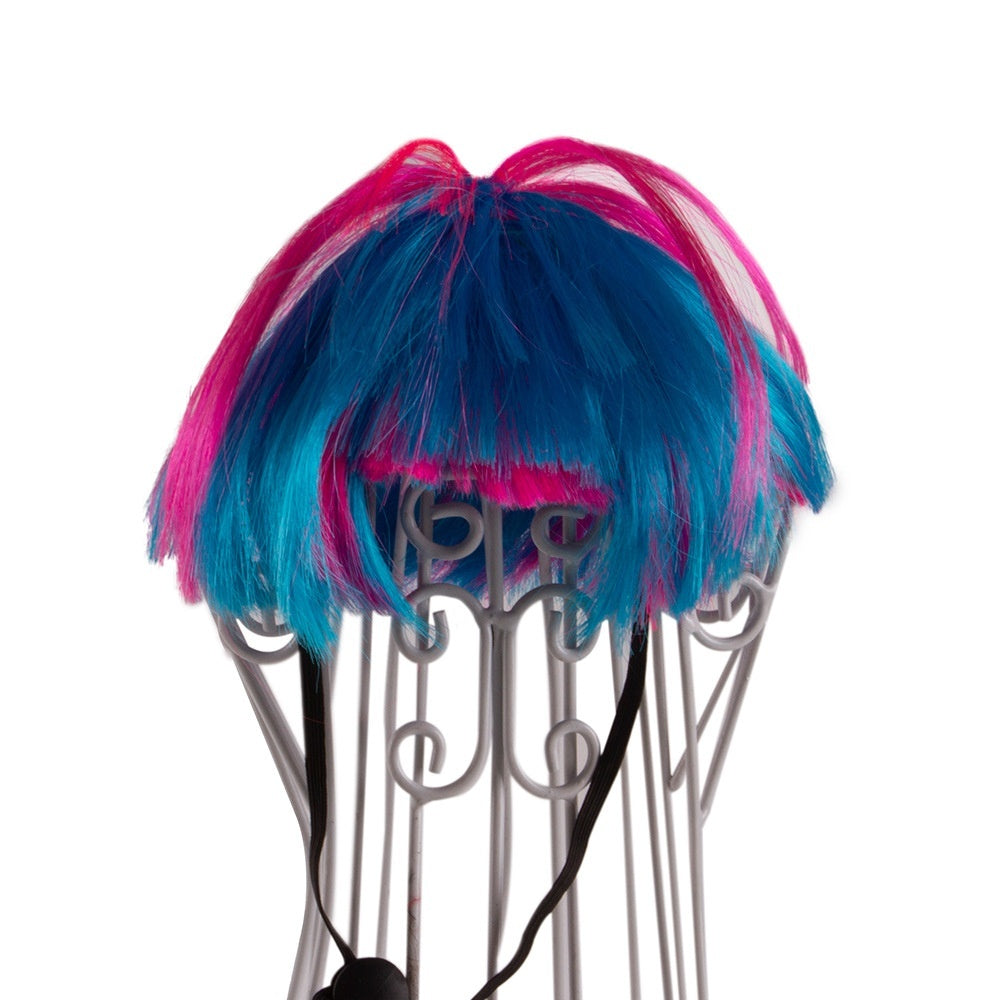 Pet Wig Afro Bangs Cat