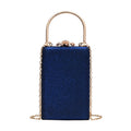 Vintage Special Material Ladies Dinner Bag
