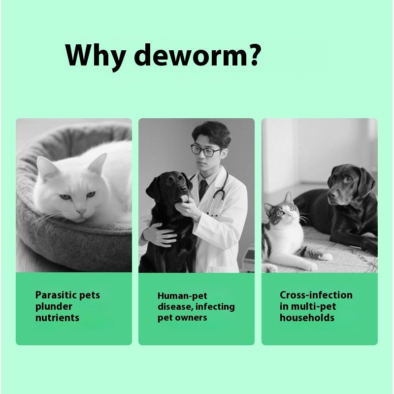 Pet Itching Relief Health Care Products