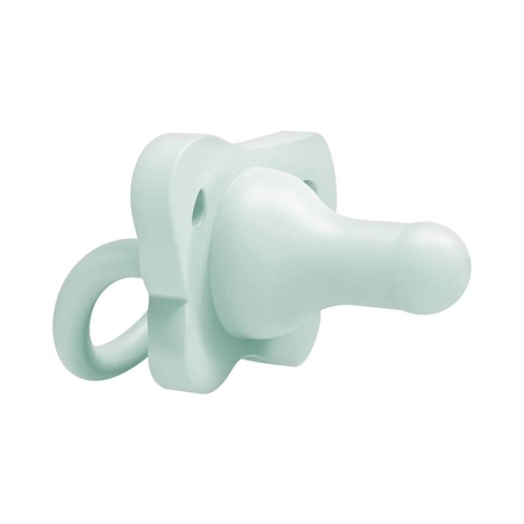 Dr. Brown's One Piece Silicone Soother 0+ months Pack of 2 - Blue