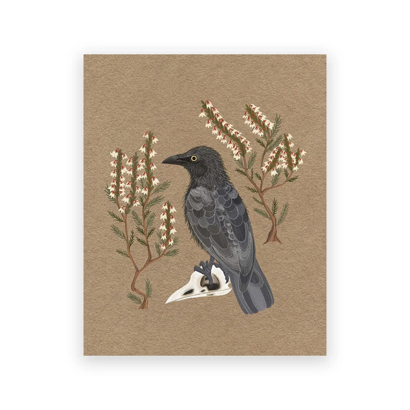 Northern Flicker Bird Art Prints – Gothic Raven Folk Art Crow Nature Posters