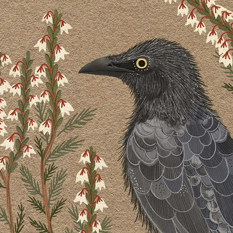 Northern Flicker Bird Art Prints – Gothic Raven Folk Art Crow Nature Posters