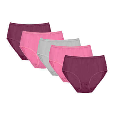Pack of 10 Women's Super Soft Cotton Midi Briefs Comfortable Breathable Assorted Styles Perfect Fit Underwear Sizes UK 12 to 20 by Daisy Dreamer