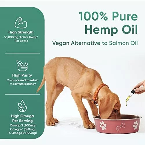 Hemp Oil for Dogs & Cats - 60,000mg (60ml) - Up to 8 Months Supply - Dog Calming